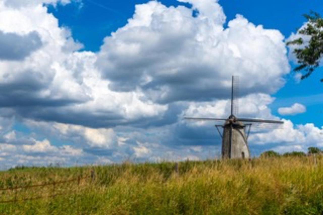 Vlaamse Ardennen Vakantiehuis Casa Caliente Met Wellness Avelgem Exteriér fotografie