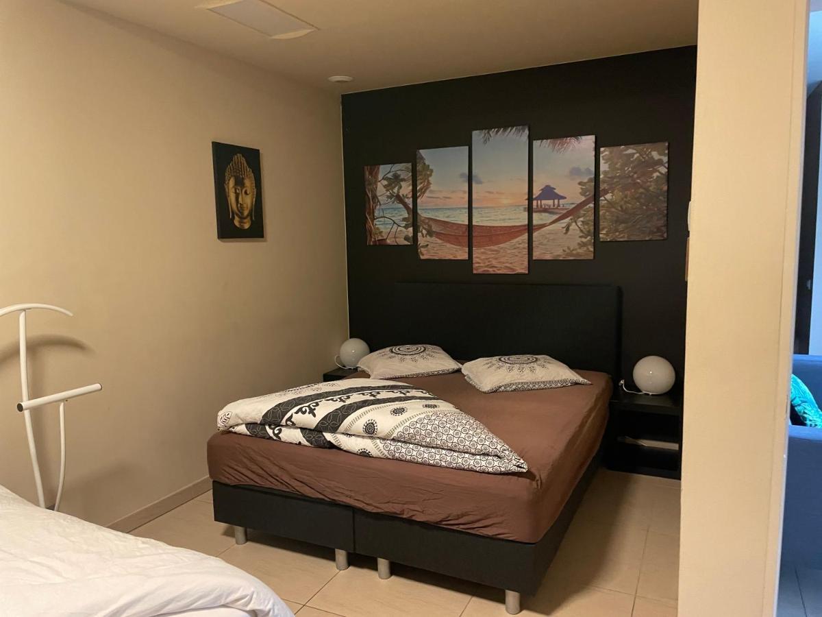 Vlaamse Ardennen Vakantiehuis Casa Caliente Met Wellness Avelgem Exteriér fotografie